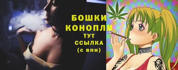 герыч Каменногорск