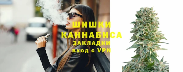 индика Каменск-Шахтинский