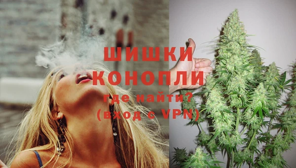 индика Каменск-Шахтинский