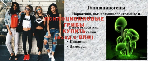 амф Каменка