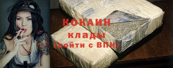 индика Каменск-Шахтинский