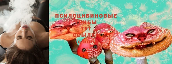 индика Каменск-Шахтинский
