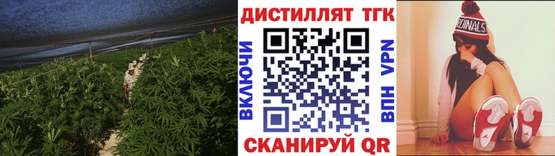 Купить  Усть-Джегута  Дистиллят ТГК гашишное масло 